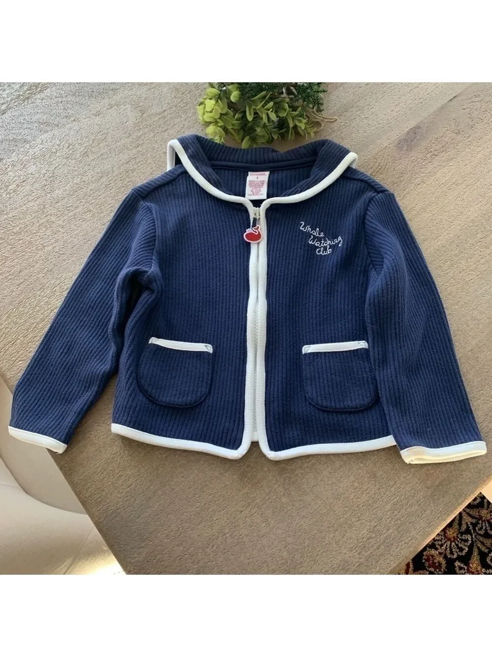 Gymboree Whale Watching Club Sweater Size 3